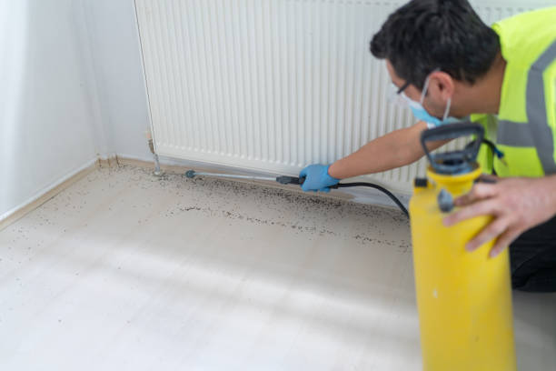 Best Commercial Pest Control Services  in Horizon West, FL
